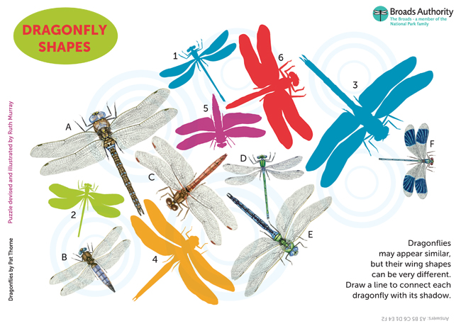 Dragonfly Shapes