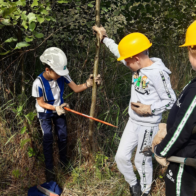 North Denes Primary School doing tree conservation work