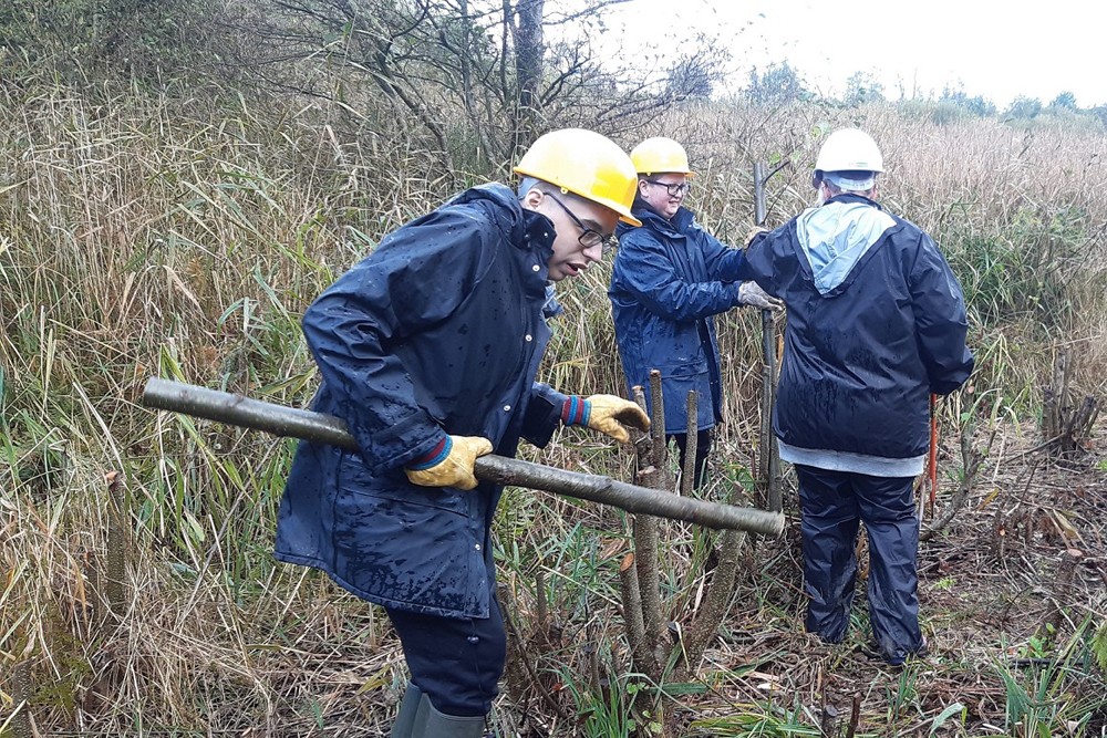 Pathways College doing tree conservation work