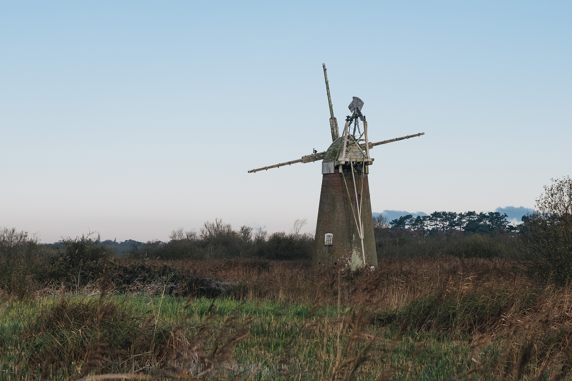 Turf Fen Mill at How Hill, by Tom Barrett A view of red-bricked Turf Fen Mill at How Hill on a clear Autumn day, surrounding the mill are golden and green reeds