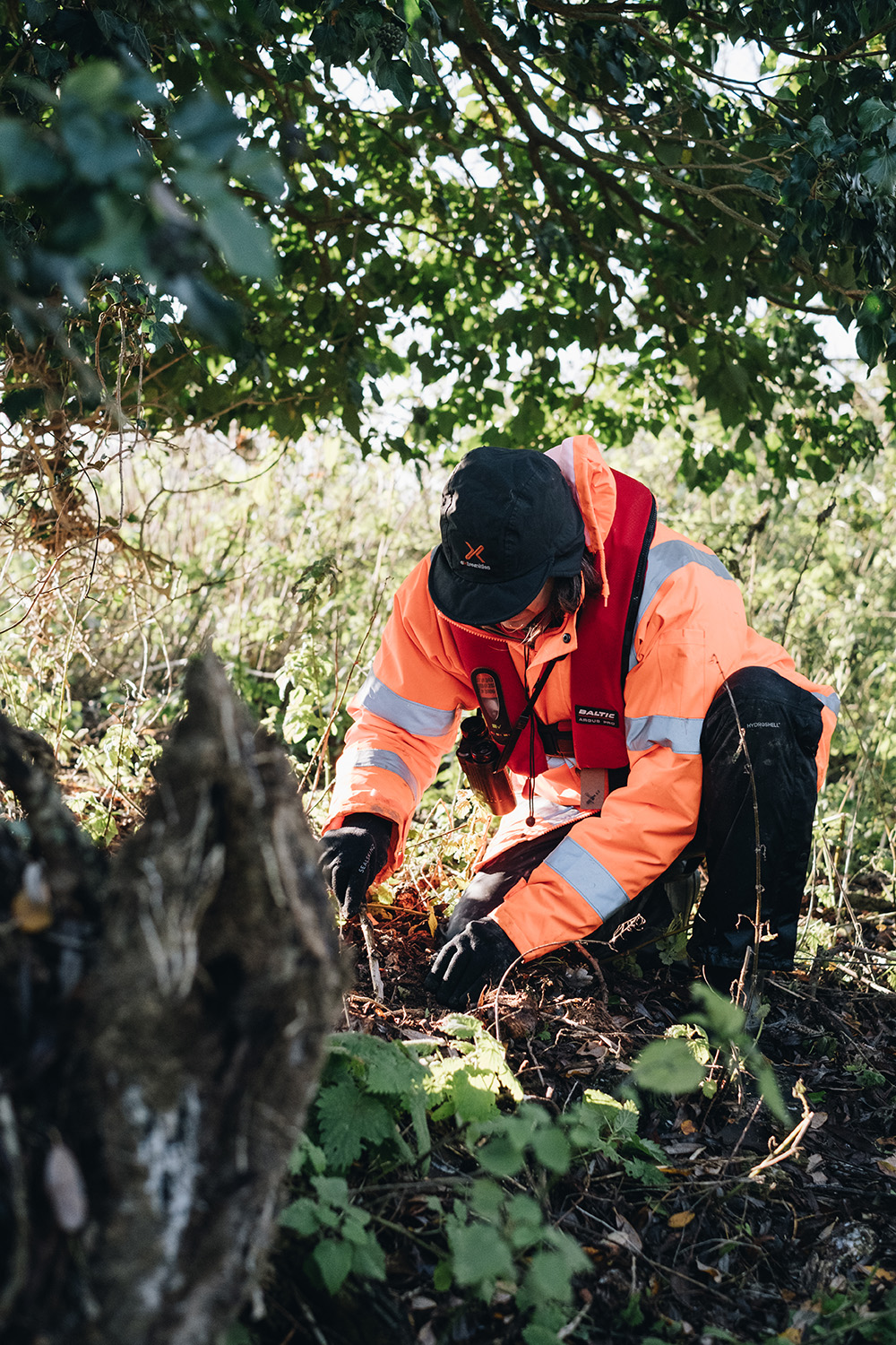 Ecologists undertaking a biodiversity habitat survey A person wearing high‑visibility orange outdoor clothing and gloves kneels on the forest floor, carefully examining or collecting something among leaves and plants beneath dense tree branches.