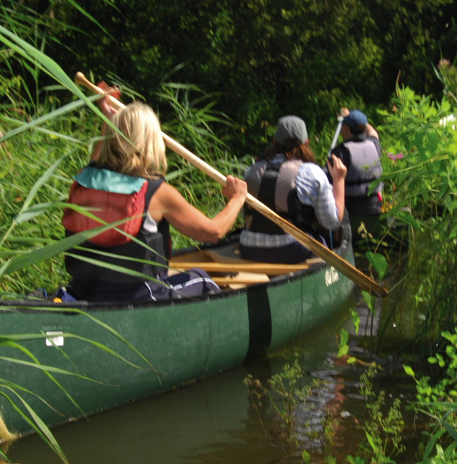 Canoeing in the Broads