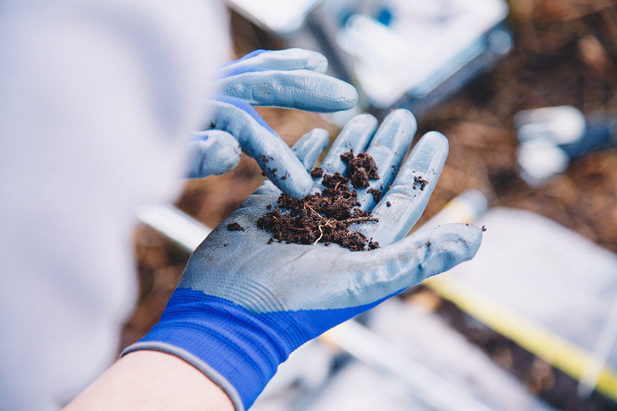 A close-up of a person wearing blue and gray protective gloves, holding and examining a sample of dark, moist peat soil. The background is blurred but contains scientific tools and equipment, suggesting a field study or environmental research setting.