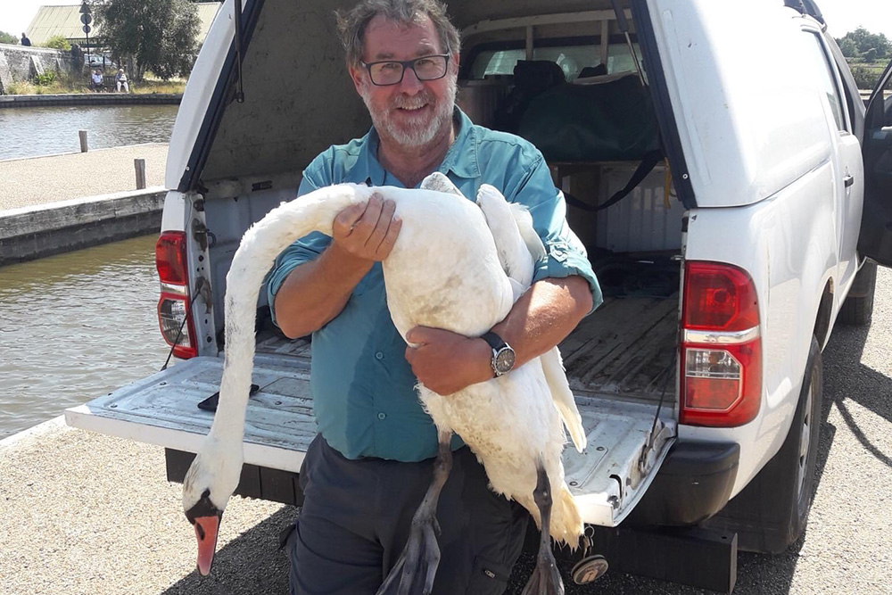 Ranger Steven with swan