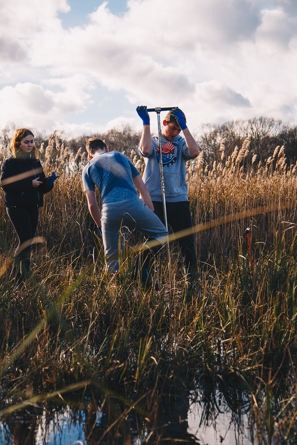 Three students stand in a marshy wetland surrounded by tall reeds, collecting a soil core sample. One student presses down on a metal coring tool while another bends to assist, and a third stands nearby holding gloves. Shallow water and grasses fill the foreground, with cloudy sky and leafless trees in the background.