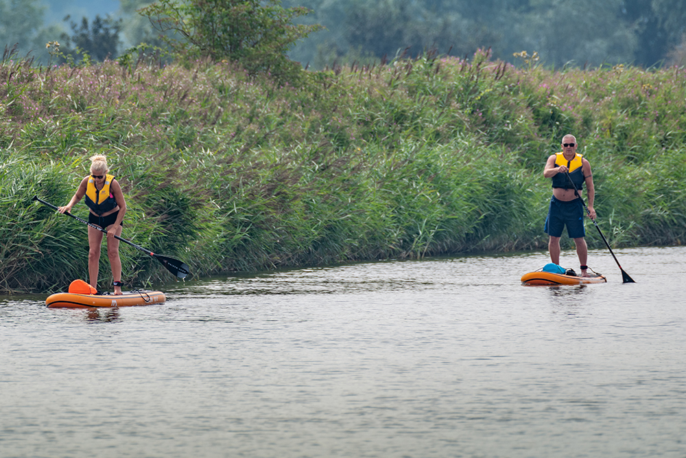 This image shows two people paddleboarding on a calm body of water, both wearing life jackets. A woman on the left is actively paddling, while a man on the right appears to be more relaxed, holding his paddle upright. The backdrop consists of lush green reeds and vegetation along the shoreline.