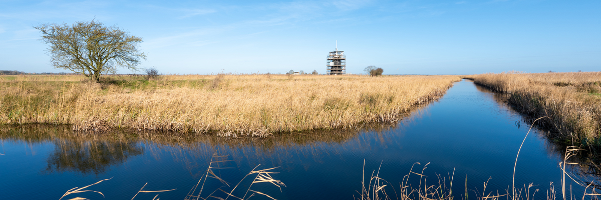 Looking out across the dykes towards Mutton's Mill, which is under restoration through the WMM project