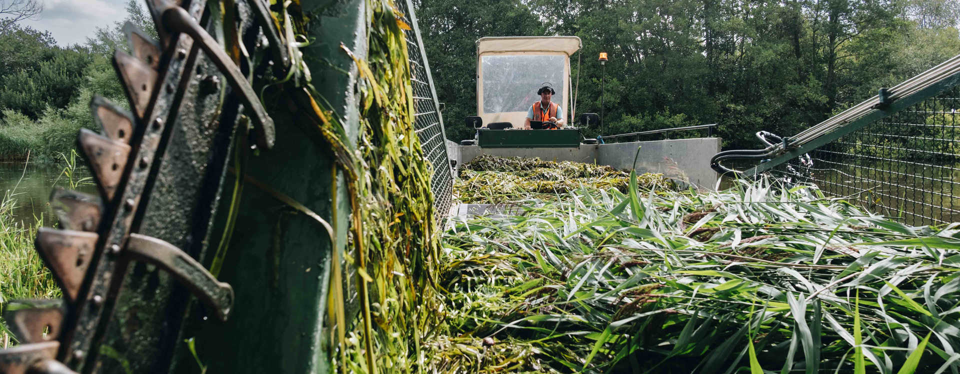 Water plant cutter in action