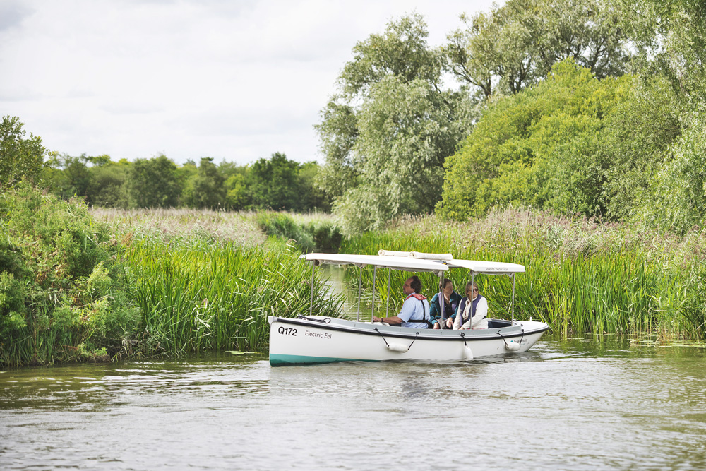 Electric eel boat trip