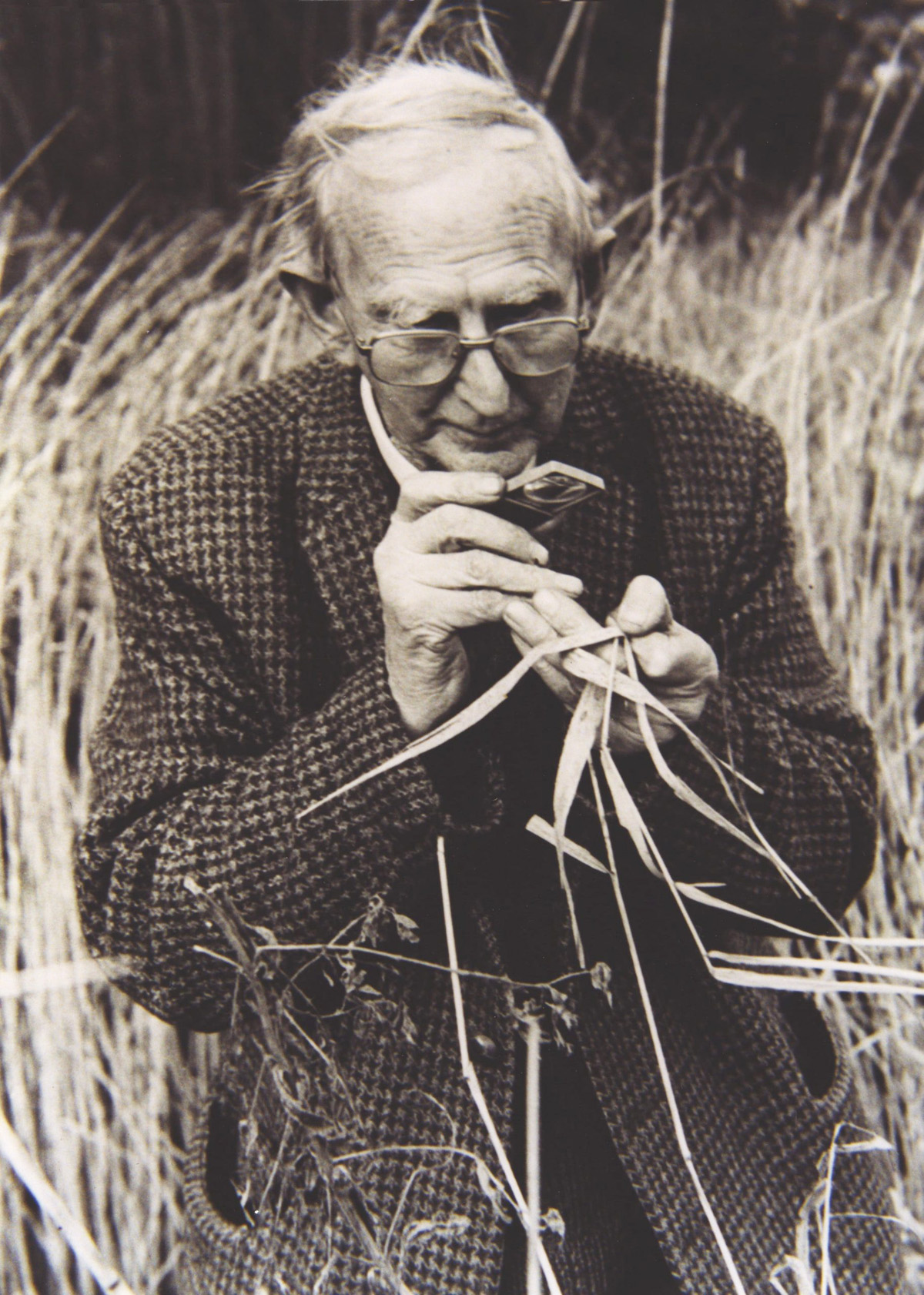 Ted Ellis in the fen Ted Ellis in the fen