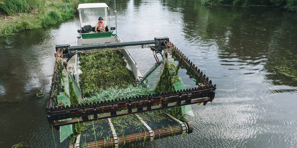 Broads Authority staff member using a floating water plant cutter