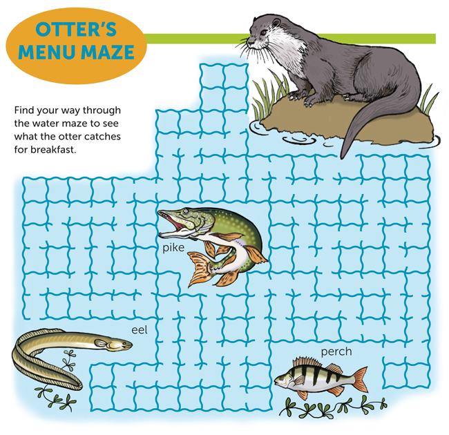 Otter's Menu maze