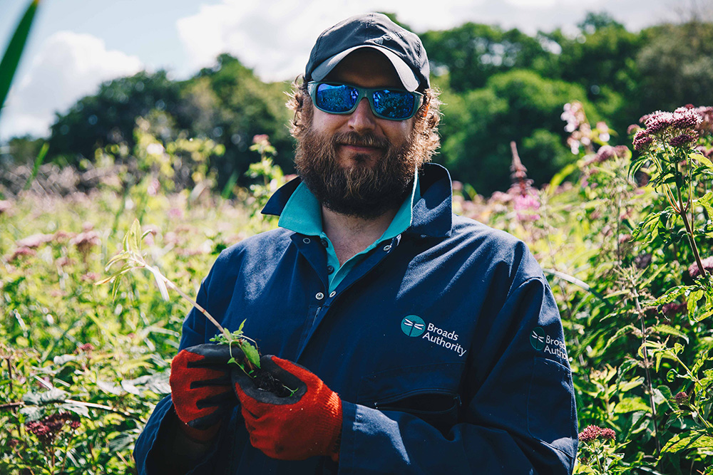 Ranger Matt himalayan balsam