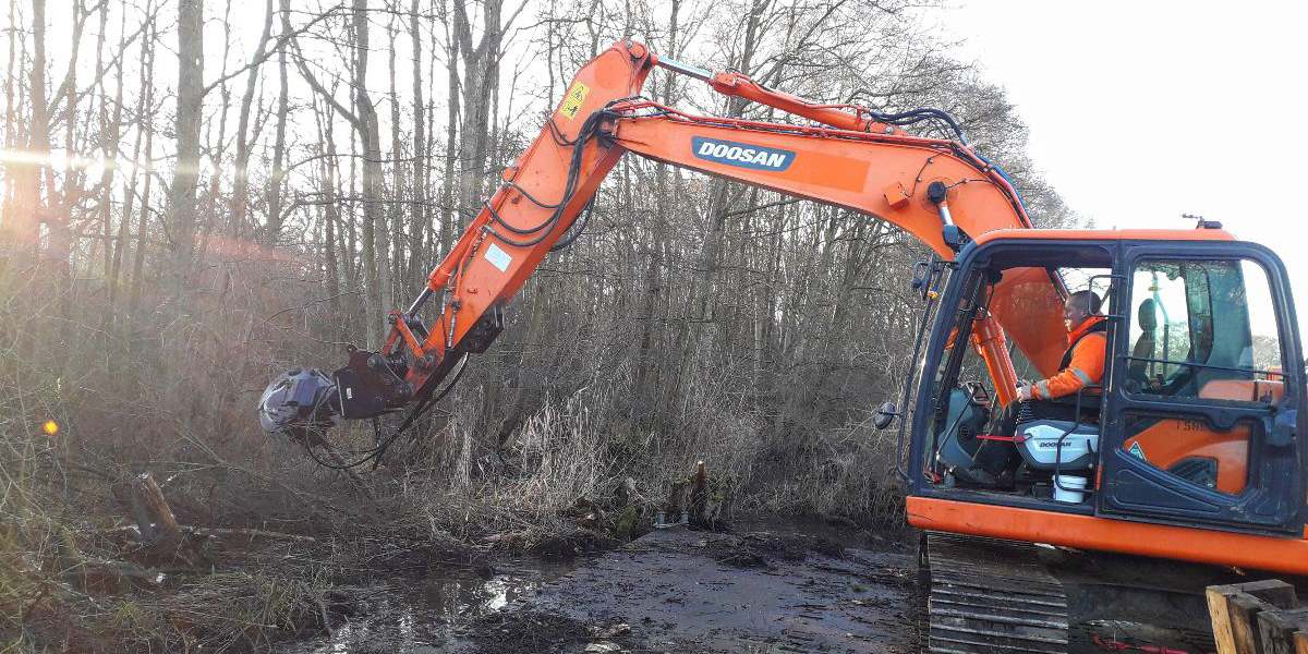 tree work