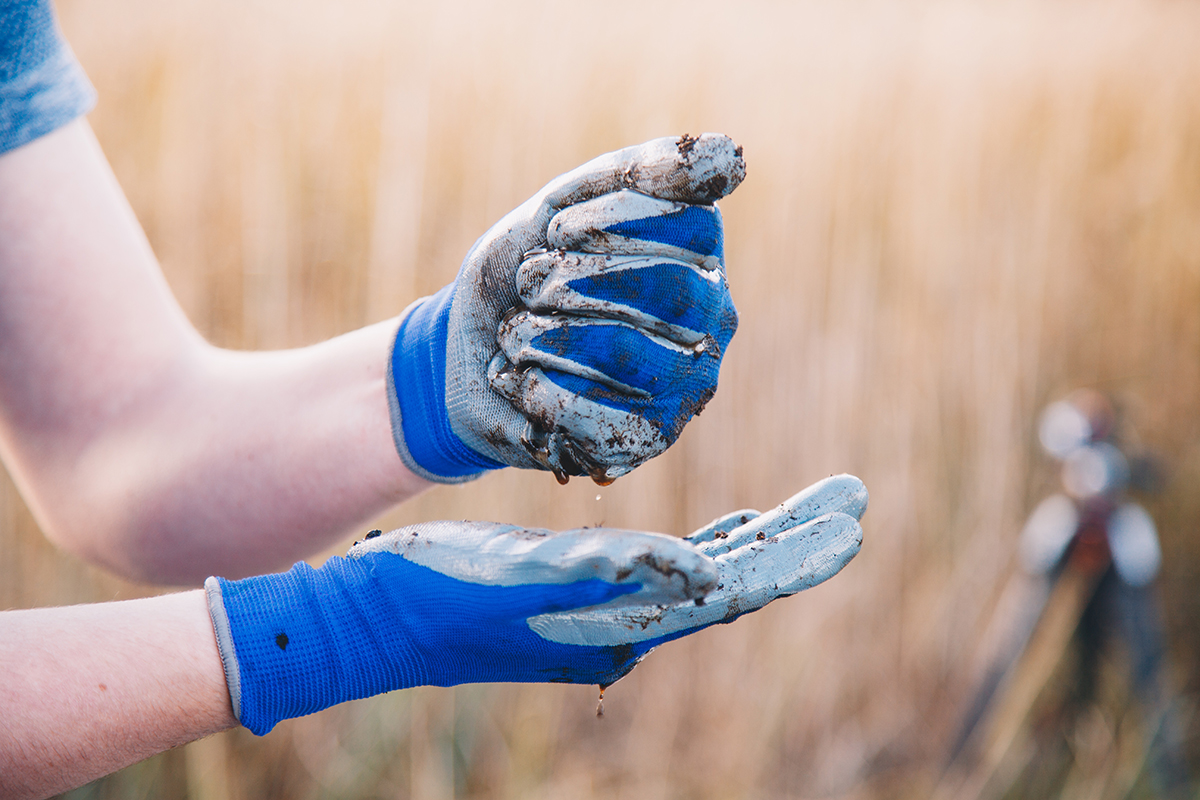 Close‑up of two hands wearing blue work gloves, holding and letting soil crumble between the fingers, with tall grasses blurred in the background.