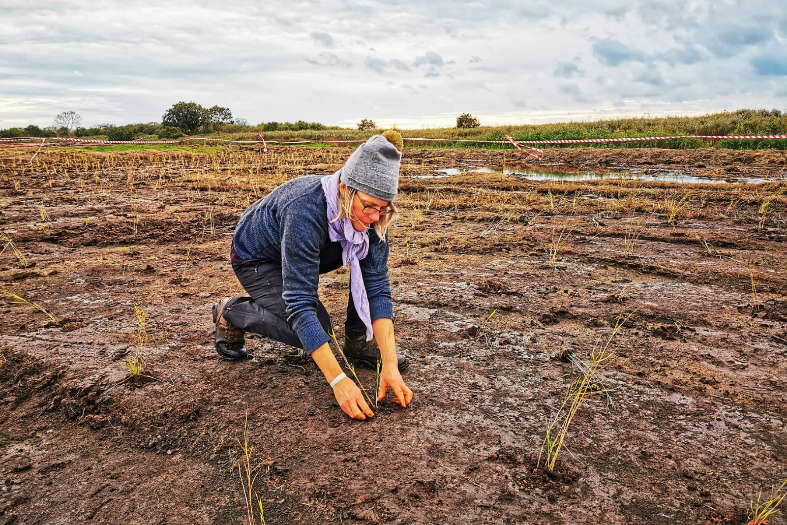 Broads ecologist Andrea Kelly inspecting peat at wetland farming site
