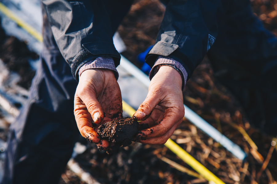 peat being held by ecologist