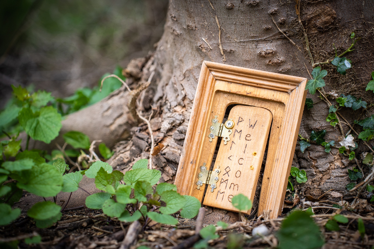 fairy doors at carys meadow