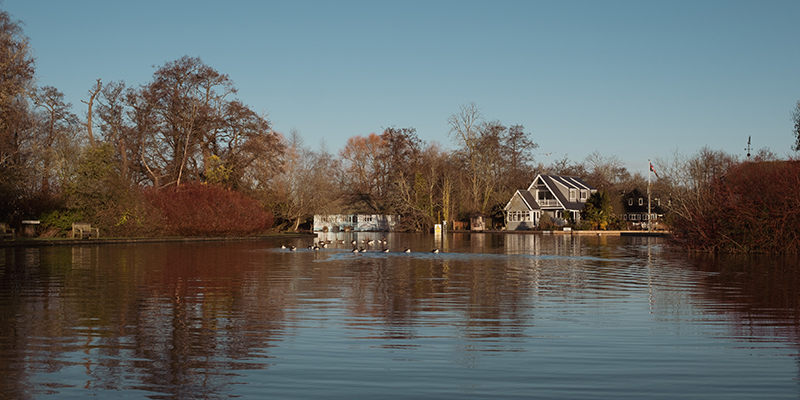 A view over a river on a dusky evening, in the background there are trees and houses visible.