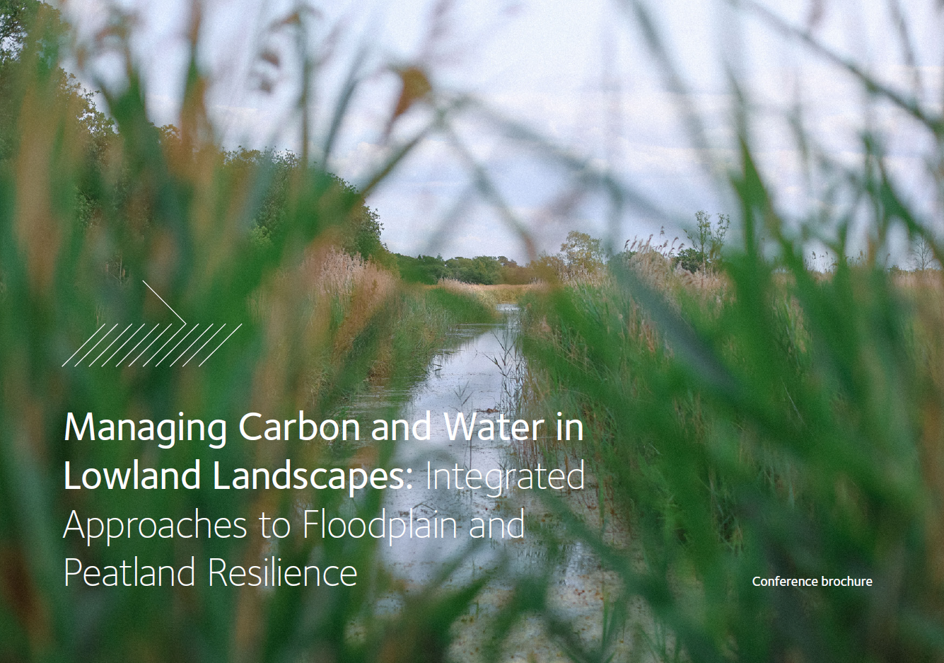 Cover image of a conference brochure showing a narrow water channel through lowland reeds and grasses, framed by vegetation. Overlaid text reads: &ldquo;Managing Carbon and Water in Lowland Landscapes: Integrated Approaches to Floodplain and Peatland Resilience.&rdquo;