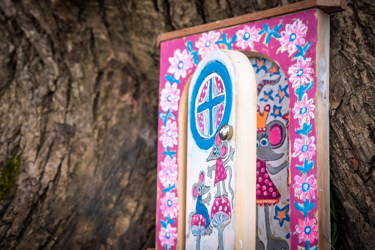 new pink and blue fairy door at carys meadow