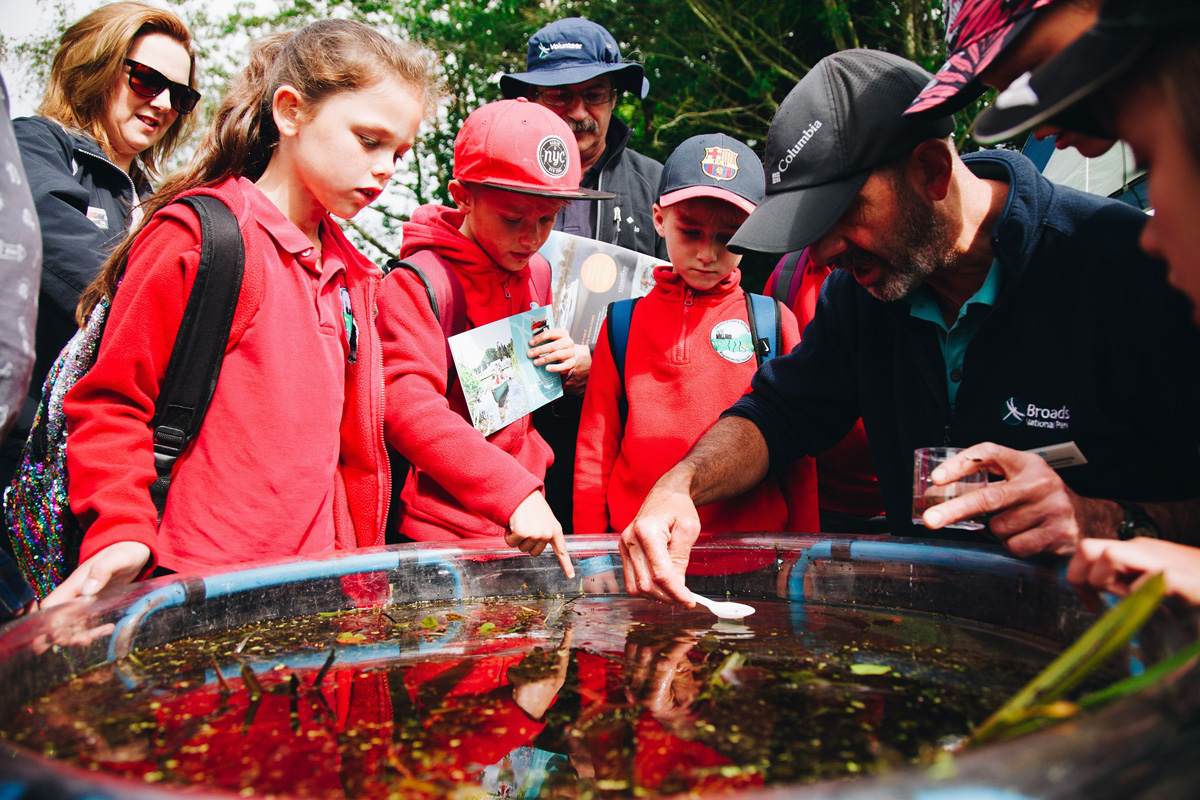 Pond dipping at the Norfolk Show