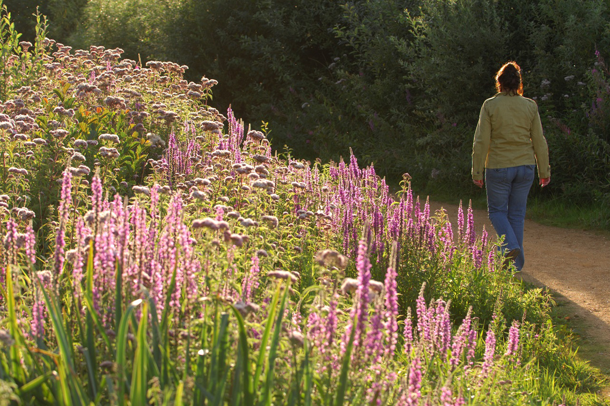 walking at reedham by Simon Finlay