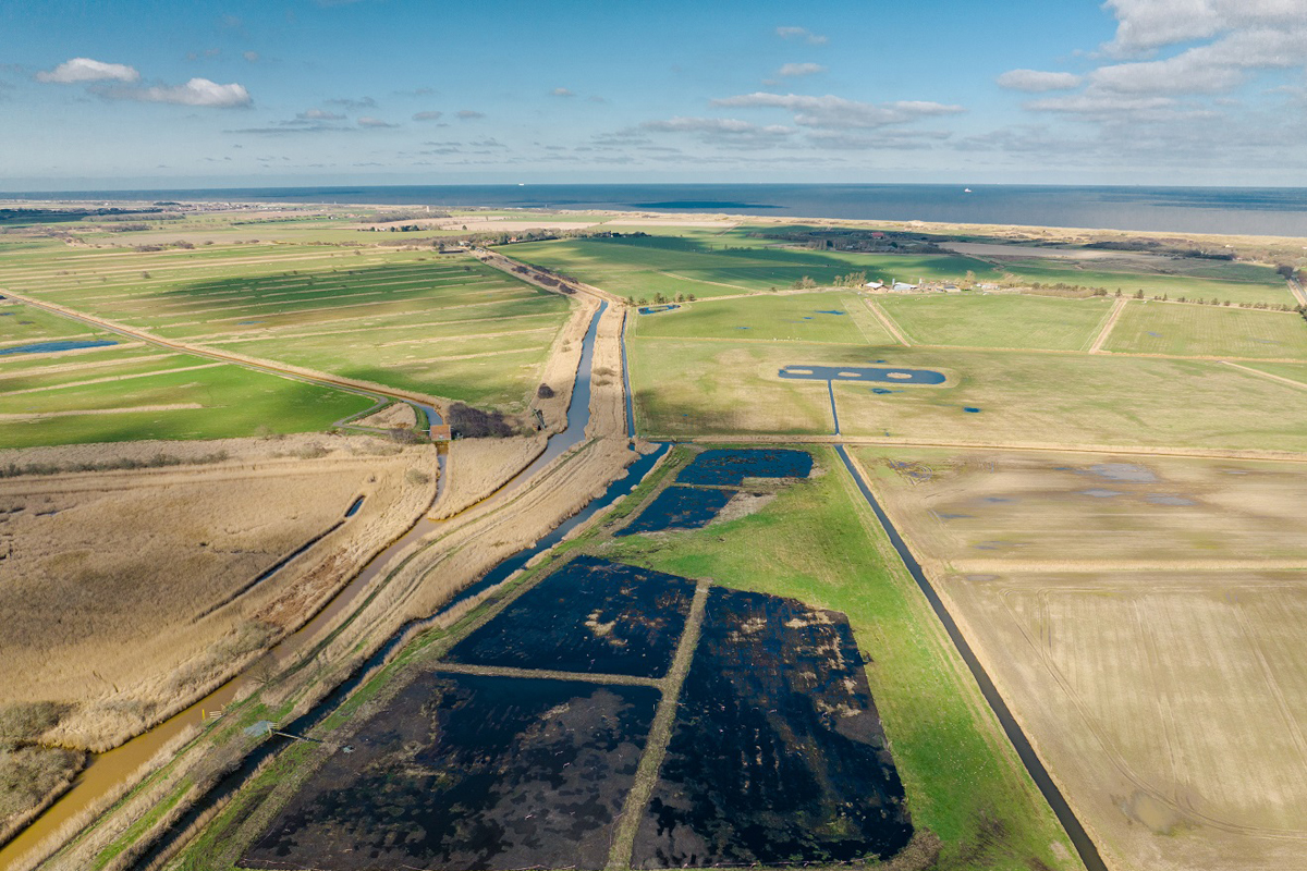 Aerial view of the Horsey wet farm