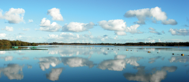 Barton Broad Barton Broad