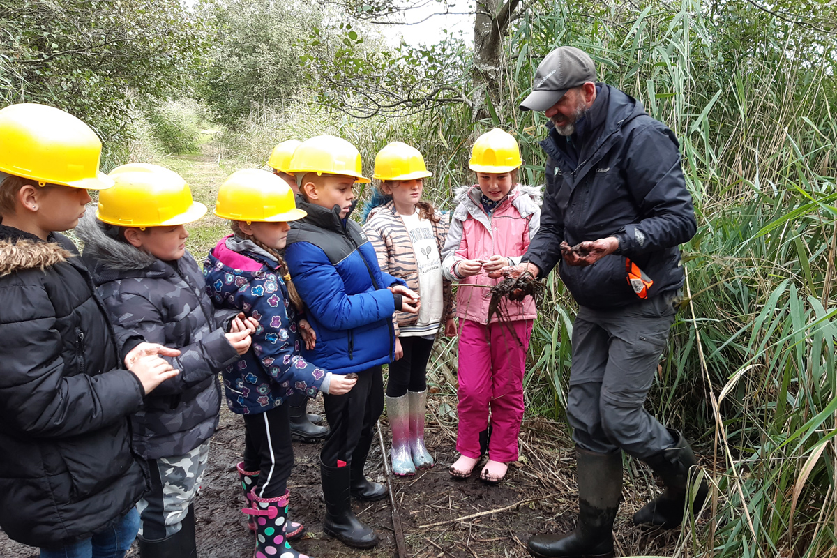 Nick showing a group of children from Dell Primary School some Broads vegetation
