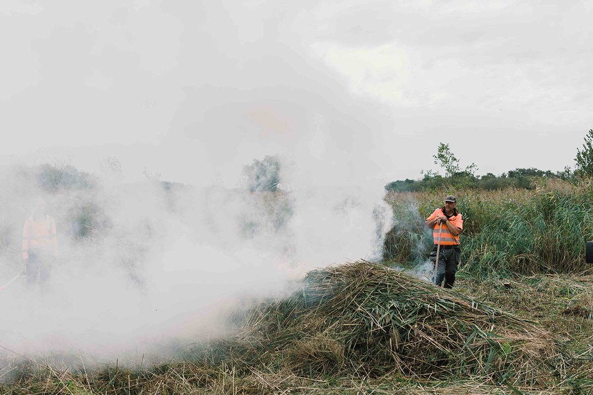 A controlled burn at the wildfire awareness event Thick white smoke rises from a pile of cut reeds in a wetland landscape while conservation workers in high-visibility clothing monitor the controlled burn. Tall reeds surround the cleared area under an overcast sky, with one worker standing beside the smoking reed pile and another partly visible through the smoke.