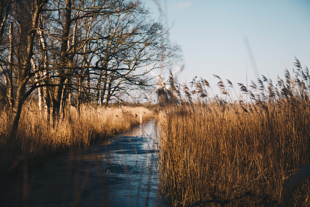 How Hill National Nature Reserve