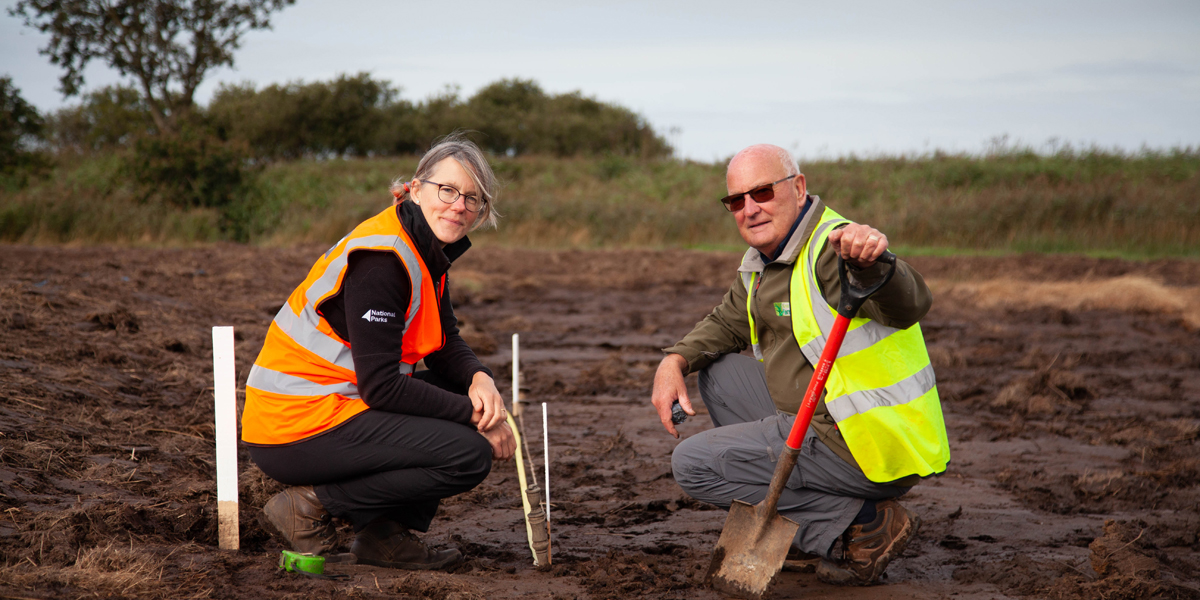 Wetland planting