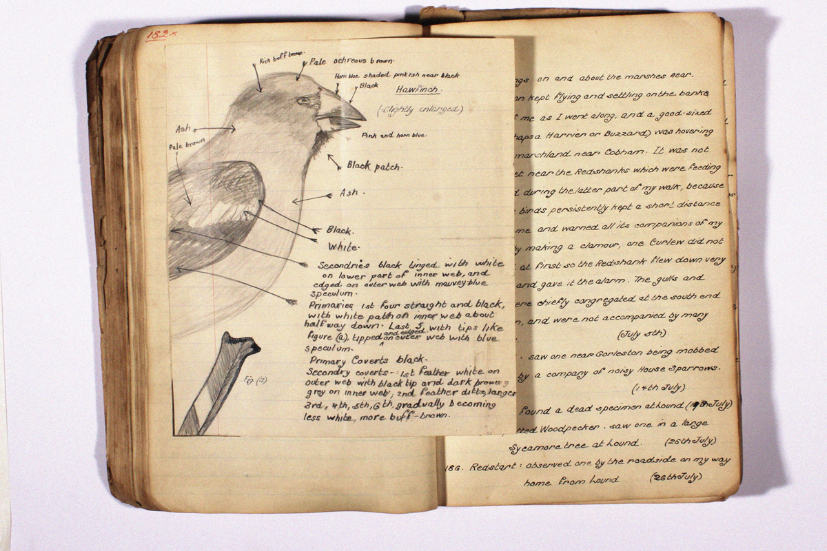 A photographed copy of one of Ted's early journals