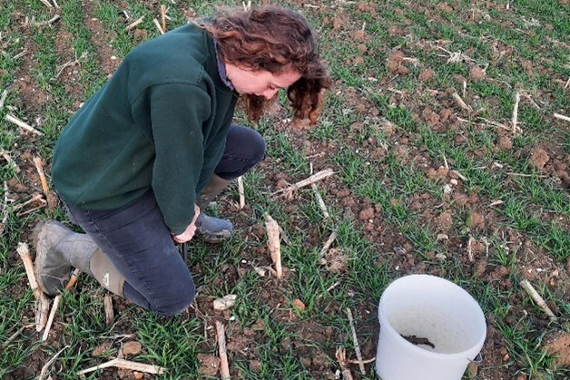 A person taking samples from a field