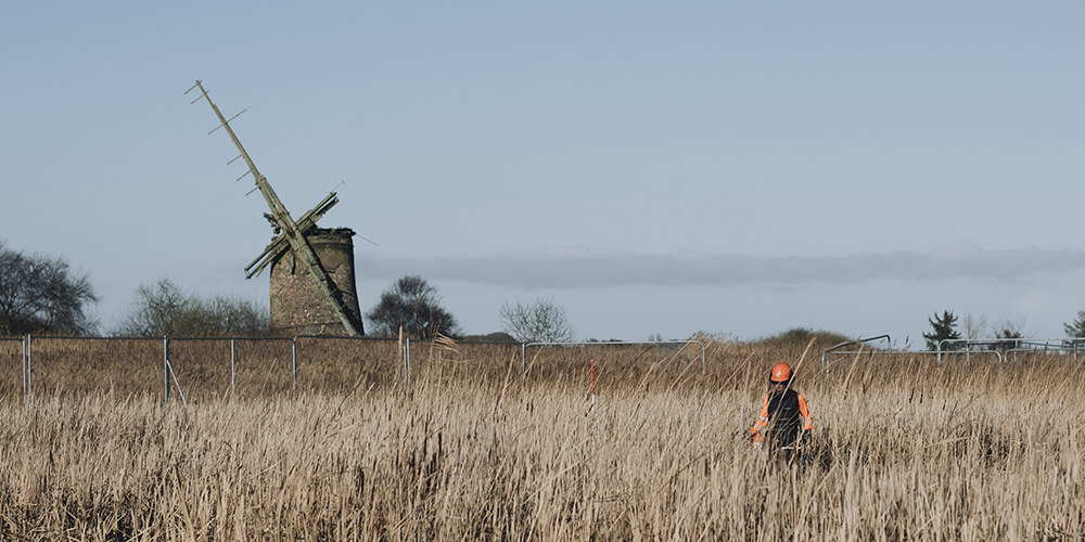 Worker in an orange safety vest and helmet standing in tall reeds near an old windmill structure on a clear day at a wetland site.