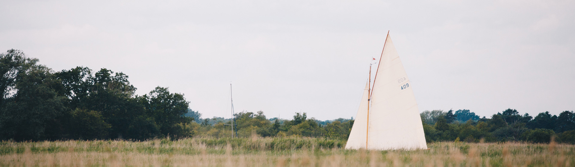 A white sailing boat travelling along the River Bure near St Benet's Abbey. The white sails of the boat extend over the horizon which is covered in trees, scrub and other vegetation.