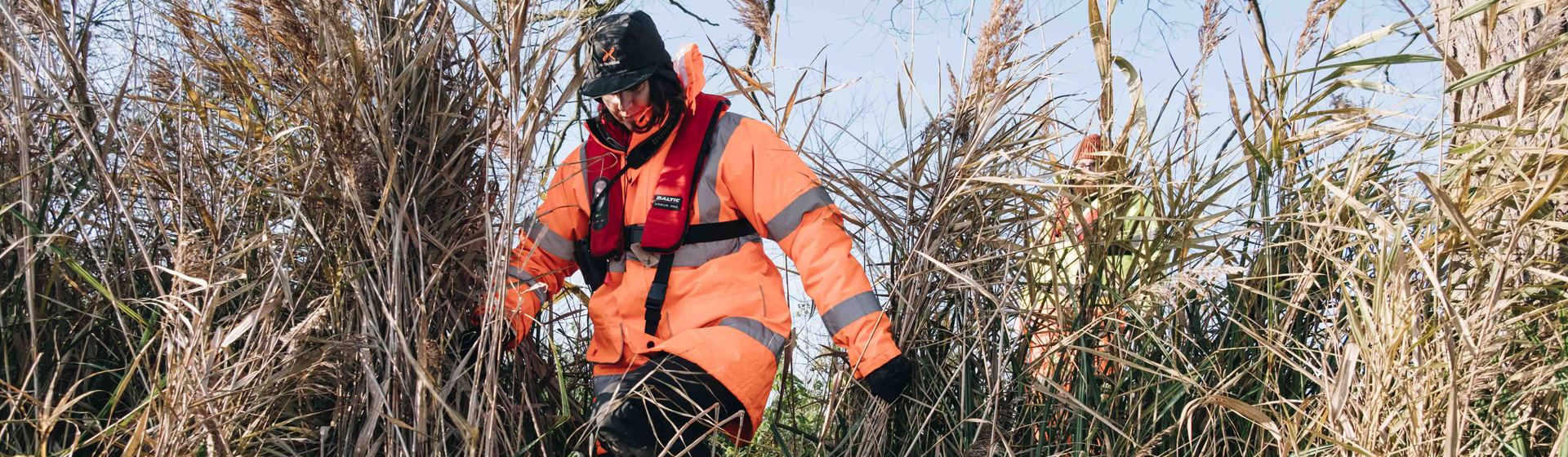 An ecologist wearing a bright orange coat and life jacket moves carefully through tall reeds while surveying for water voles. Another person in similar gear works in the background on a bright, clear day.